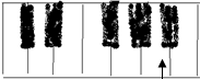 Natos A