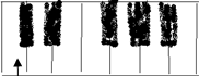 Natos C