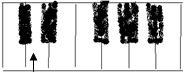 Natos D