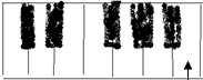 Natos H